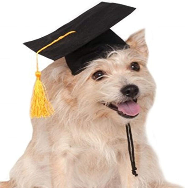 Pets Graduation Hat Costume Accessory - HalloweenCostumes4U.com - Pet Costumes & Accessories