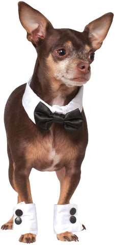 Pets Bowtie, Collar, and Cuff Accessory Set - HalloweenCostumes4U.com - Pet Costumes & Accessories