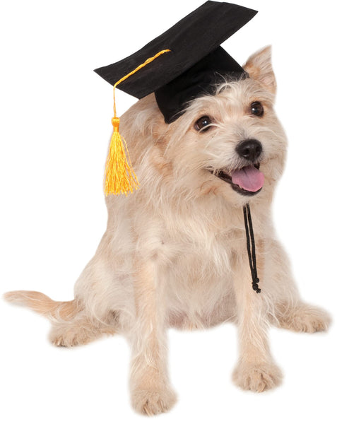 Pets Graduation Hat Costume Accessory - HalloweenCostumes4U.com - Pet Costumes & Accessories