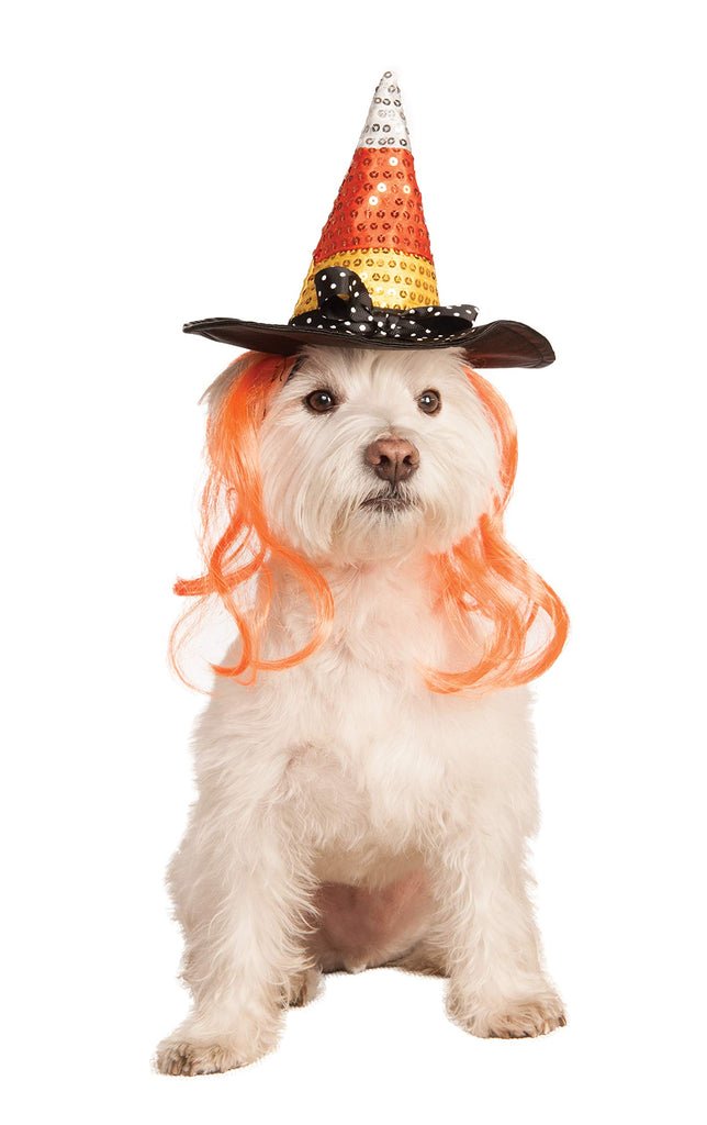 Pets Candy Corn Witch Hat with Hair Costume Accessory - HalloweenCostumes4U.com - Pet Costumes & Accessories