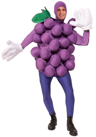 Adults Purple Grape Costume - HalloweenCostumes4U.com - Adult Costumes