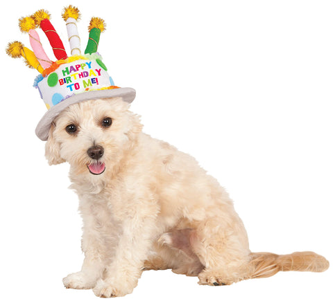 Pets Birthday Cake Hat Costume Accessory - HalloweenCostumes4U.com - Pet Costumes & Accessories