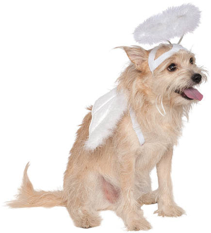 Pets Angel Halo and Wings Costume Set - HalloweenCostumes4U.com - Pet Costumes & Accessories