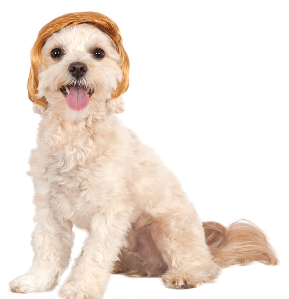 Pets Political Billionaire Costume Wig - HalloweenCostumes4U.com - Pet Costumes & Accessories