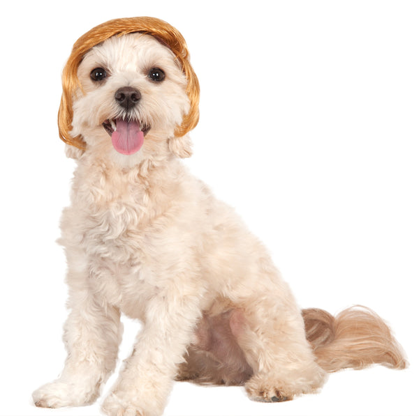 Pets Political Billionaire Costume Wig - HalloweenCostumes4U.com - Pet Costumes & Accessories