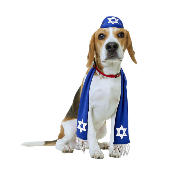 Pets Yarmulke and Tallis Hanukkah Set with Star of David. Beagle. Medium dogs. From HalloweenCostumes4U.com by Boots and Brothers