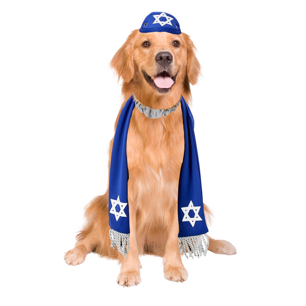 Pets Yarmulke and Tallis Hanukkah Set with Star of David. Golden Retriever. Large dogs. From HalloweenCostumes4U.com by Boots and Brothers