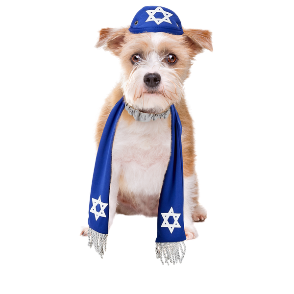 Pets Yarmulke and Tallis Hanukkah Set with Star of David. Terrier. Smalls dogs. From HalloweenCostumes4U.com by Boots and Brothers