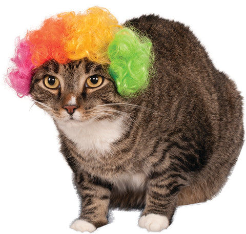 Pets Rainbow Afro Wig Costume Accessory - HalloweenCostumes4U.com - Pet Costumes & Accessories