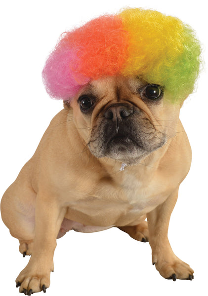 Pets Rainbow Afro Wig Costume Accessory - HalloweenCostumes4U.com - Pet Costumes & Accessories