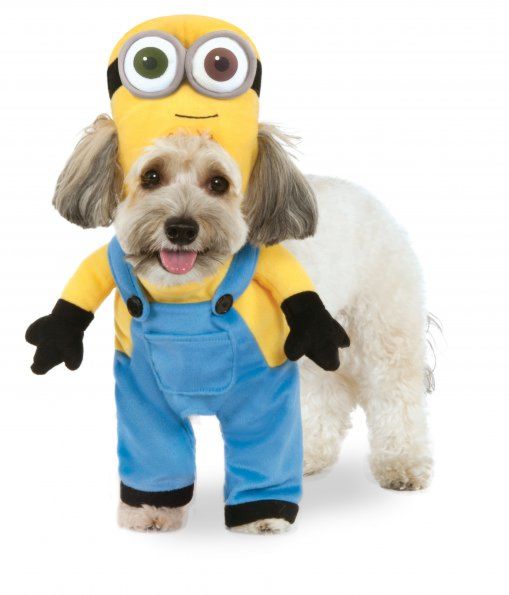 Womens/Teens Minion Costume - Halloween Costumes 4U - Adult Costumes